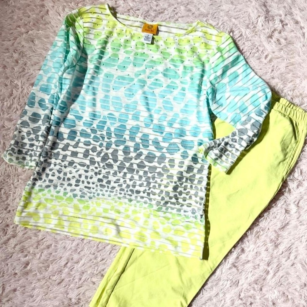 Neon Colorful Striped Burnout Sheer Cheetah Animal Print Outfit Womens S Retro